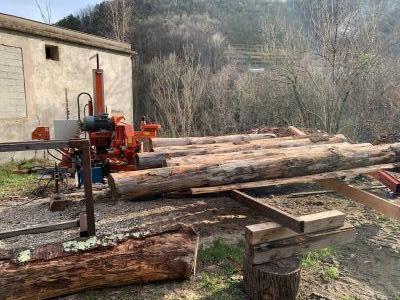 Scierie Lt 20B woodmizer